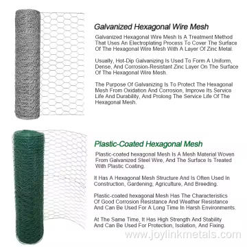Galvanized Hexagonal Wire Mesh for Farm Chicken Mesh